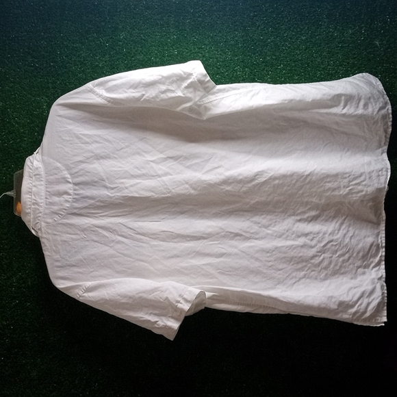 Bonobos - Picture 4 of 5